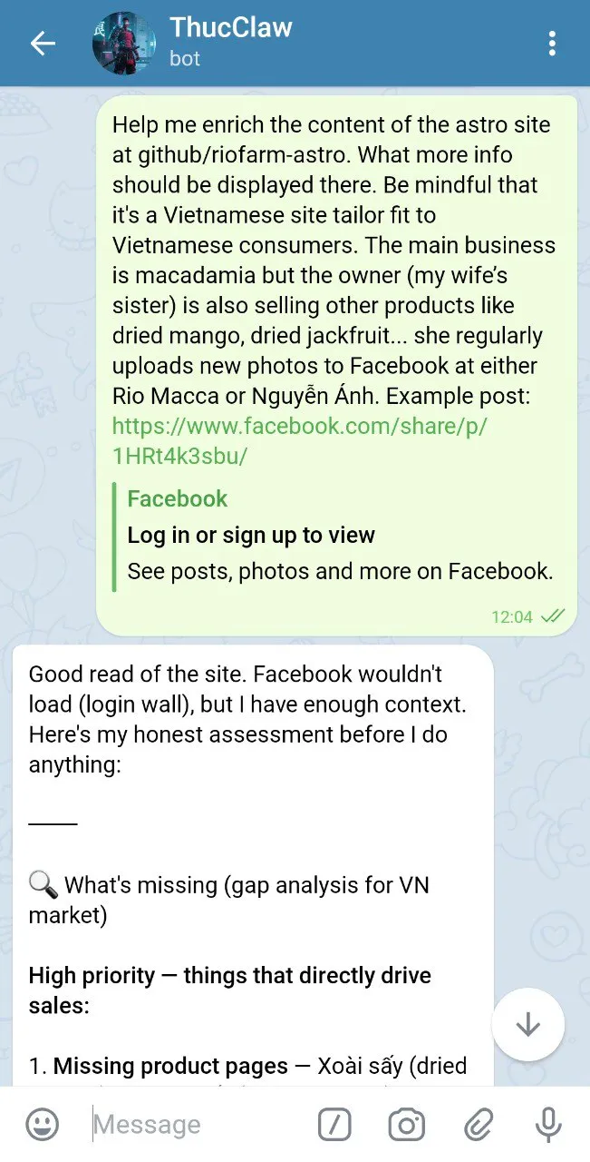 The prompt: Thuc asks what info to add, noting the site is built for Vietnamese consumers
